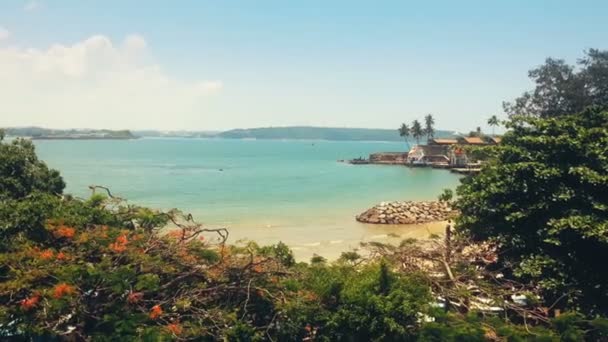 Tropikalna wyspa ocean view, ptaki latające nad egzotycznych drzew, Raj, wakacje — Wideo stockowe