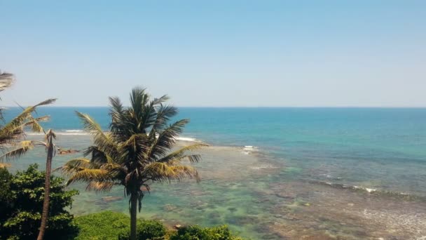 Lujoso complejo de verano, palmeras en la playa, olas del océano que desembarcan lentamente — Vídeos de Stock