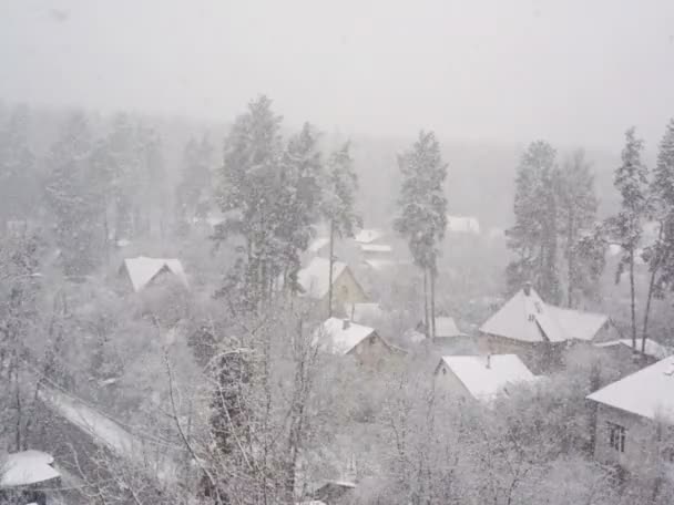 Grandes copos de nieve volando en el aire, fuertes nevadas en el país. Pinos solitarios. Paisaje invierno blanco — Vídeos de Stock