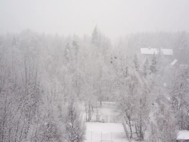 Heavy snow falling in park, trees covered with snow. Loneliness, sadness. White winter landscape — Stock Video