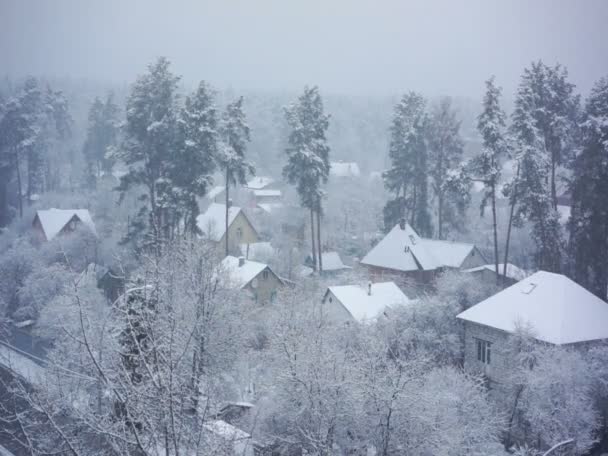 Красивий зимовий пейзаж, сніг падає на тихі заміські будинки і соснові дерева — стокове відео