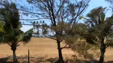 Yolcu pov avuç içi, plajlar, resort otel tren. Egzotik ülkelerde seyahat