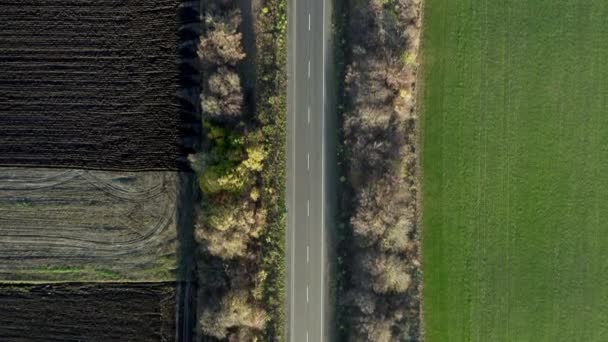 Drone widok samochodów jadących w dół drogi między polami rolniczymi, upraw zimowych — Wideo stockowe