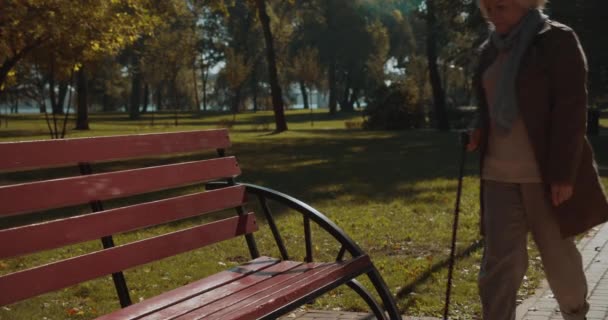 Cheerful active woman with walking cane sitting on bench in park, happiness — Stock Video