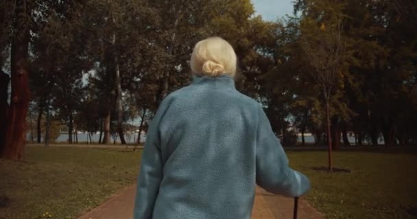 Uśmiechnięta seniorka z kijem ciesząca się słonecznym dniem w parku, emerytura — Wideo stockowe
