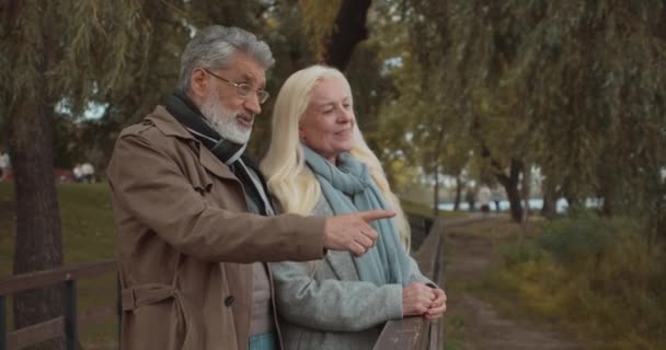 Marido y esposa hablando, pasando tiempo juntos en el parque, relación feliz — Vídeos de Stock