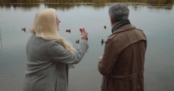 Mann und Frau füttern Enten im Park, verbringen Zeit miteinander, romantisches Date — Stockvideo