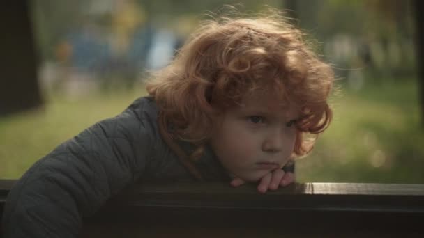 Sad thoughtful boy sitting on bench in park, missing family, abandoned child — Stock Video