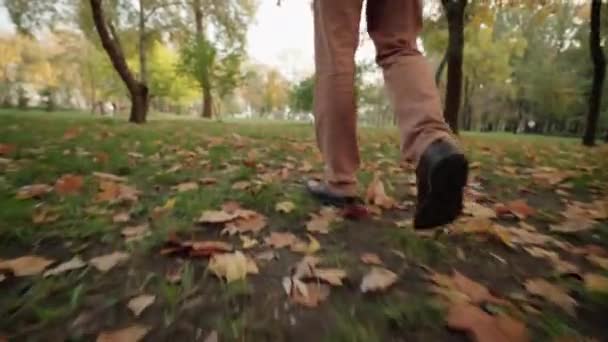 Homem caminhando no parque de outono, relaxando ao ar livre, descanso no campo, recreação — Vídeo de Stock