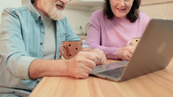 Casal idoso assistindo vídeo no laptop em casa, tecnologia moderna, união — Vídeo de Stock