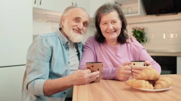 满意的祖父母拥抱，看着相机，温柔的家庭关系 — 图库视频影像