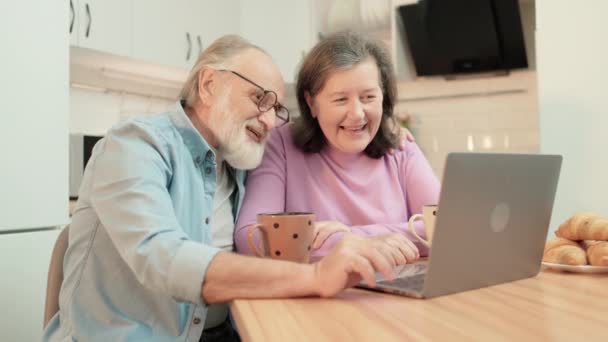 Homem e mulher idosos conversando com crianças por aplicativo laptop, comunicação familiar — Vídeo de Stock