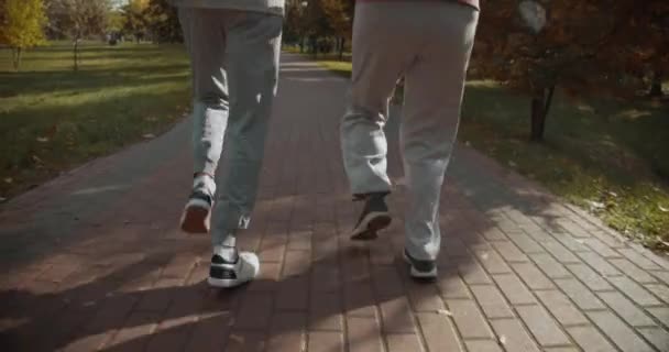 Make och maka i tränare jogga utomhus, aktiv rekreation, pensionering — Stockvideo