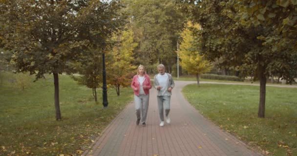 Volwassen paar joggen in het park, geven high five, cardiotraining, calorieën — Stockvideo