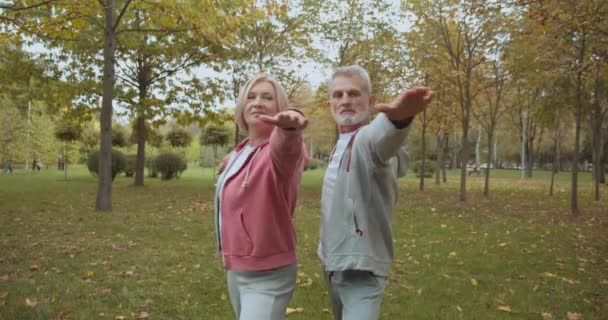 Ouderen sport paar doen stretching oefeningen in het park samen, recreatie — Stockvideo