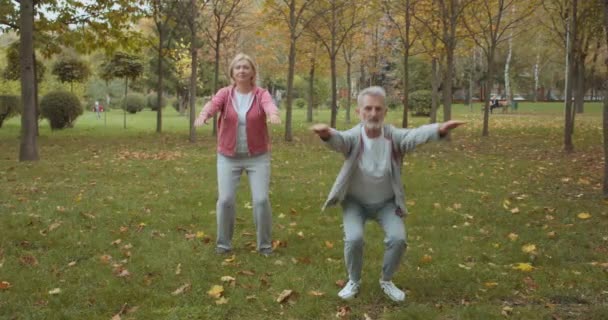 Mature mâle et femelle faire squats ensemble, couple de formation dans le parc, la force — Video