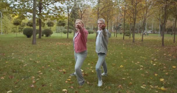 Soțul și soția în haine sportive care se întind în aer liber, exerciții pilates, încălzire — Videoclip de stoc