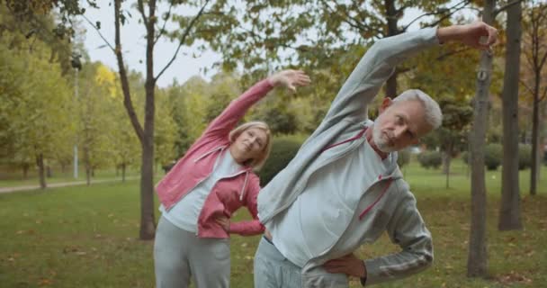 Senior homme et femme faisant des flexions latérales ensemble, retraite active, fitness — Video