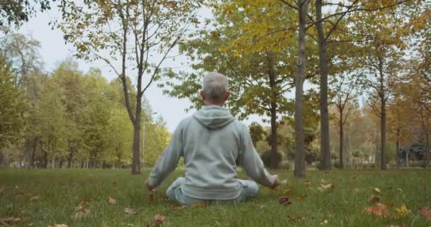 Homem de cabelos grisalhos meditando fazendo gesto namaste, sentado na grama no parque, ioga — Vídeo de Stock