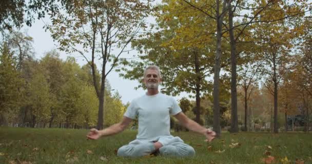 秋の公園で幸せな高齢者の男性瞑想、感謝の気持ち、悟り — ストック動画