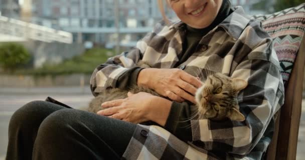 Mujer mayor sentada en la cafetería al aire libre y acariciando gato sin hogar, refugio de animales — Vídeo de stock