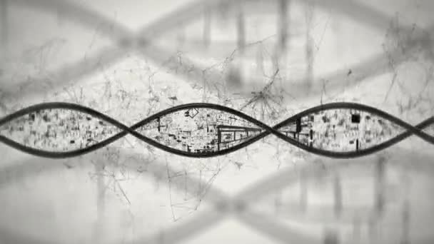 Recherche génétique, brin d'ADN à l'écran, biochimie, mutations génétiques — Video