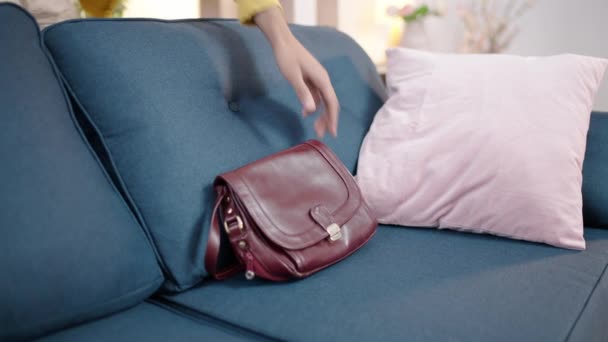 ソファに横たわっ女性のハンドバッグから現金を盗む人 — ストック動画