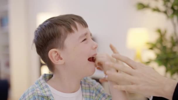 Fatigué Mère Qui Travaille Essayant Réconforter Fils Pleurer Difficultés Parentalité — Video