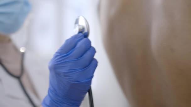 Gros Plan Médecin Contrôlant Les Patients Respirant Avec Stéthoscope Bilan — Video