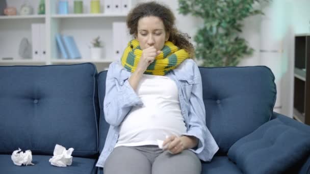 Больная Беременная Женщина Шарфе Кашляет Лечение Простуды Время Беременности — стоковое видео