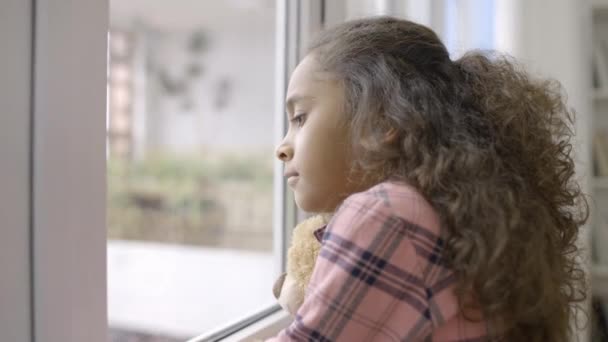 Szomorú Kislány Néz Ablakon Ölelés Kedvenc Játék Vár Örökbefogadás — Stock videók