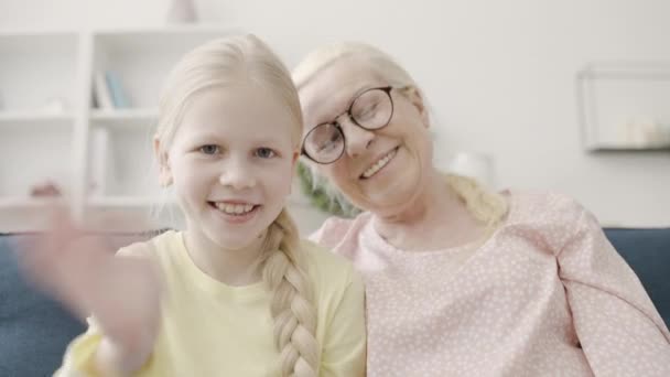 Happy Granny Little Girl Smiling Camera Waving Hand Online Video — Stock Video