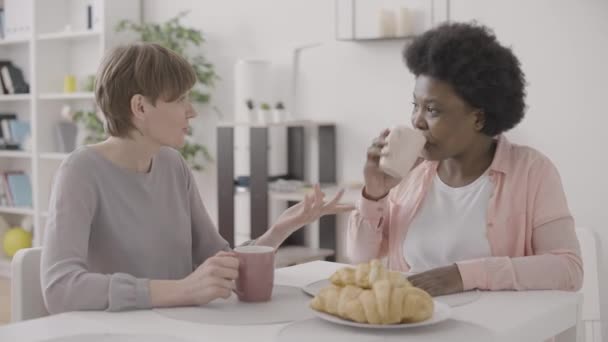 レズビアン女性給餌ガールフレンドとともにクッキー 同性カップル楽しい朝食 — ストック動画