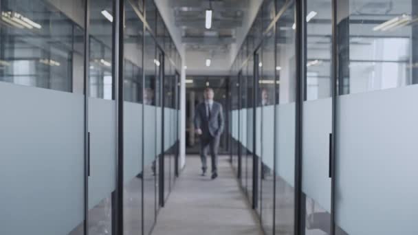 Serious Company Boss Giving Instruction Employee Office Corridor Teamwork — Stock Video