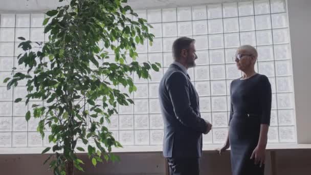 Man Woman Business Suits Discussing Work Issues Office Colleagues — Stock Video