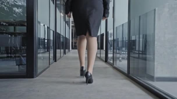 Exitosa Mujer Negocios Caminando Corredor Oficina Concepto Desarrollo Profesional — Vídeo de stock