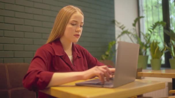忙碌的女自由职业者在咖啡店的笔记本电脑上快速打字 侍者端咖啡 — 图库视频影像