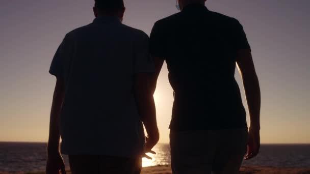 Twee Mannen Hand Hand Lopen Naar Zee Het Strand Lgbt — Stockvideo