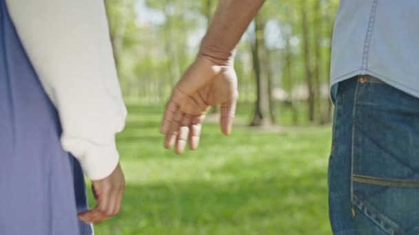 Pareja Negra Cruzando Tiernamente Los Dedos Tomados Mano Parque Verde — Vídeo de stock