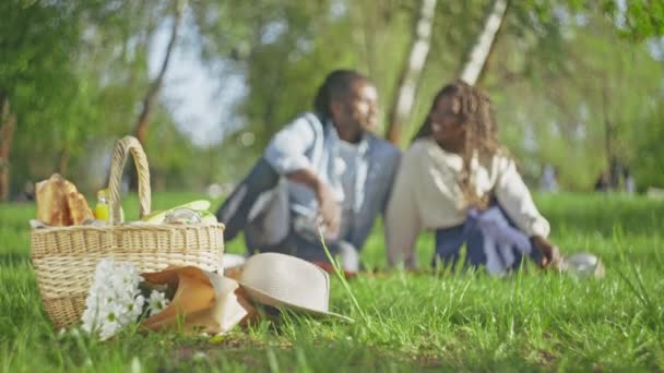Gyönyörű Fekete Pár Parkban Piknik Kosár Élvezi Beszélgetést — Stock videók
