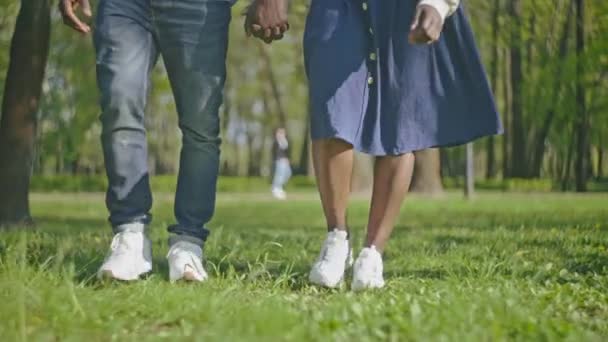 Zwart Paar Lopen Groen Gras Park Het Vasthouden Van Handen — Stockvideo