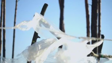 Parkın dallarında asılı plastik film, kirlilik sorunu, ekoloji