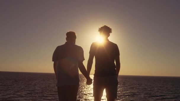 Two Gay Men Holding Hands Smiling Enjoying Beautiful Sea View — Stock Video