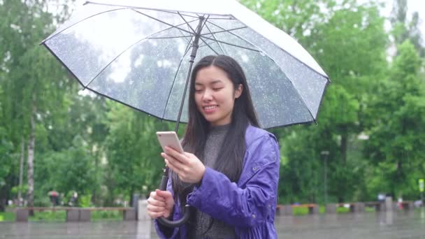 魅力的なアジアの女性は スマートフォン上でスクロール 傘と雨の中に立って — ストック動画