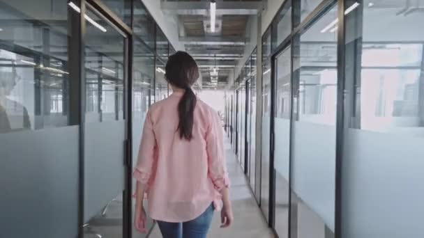 Företagets Promenader Kontorskorridoren Självsäker Affärskvinna Ledarskap — Stockvideo