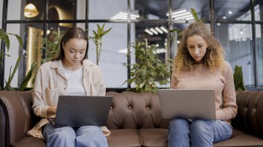Açık uzay ofisindeki dizüstü bilgisayarlarda yazan iki kadın yazılım test edicisi, modern teknoloji.