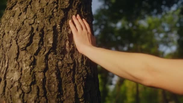 Vrouw Die Boomschors Aanraakt Met Hand Zich Verenigt Met Natuur — Stockvideo