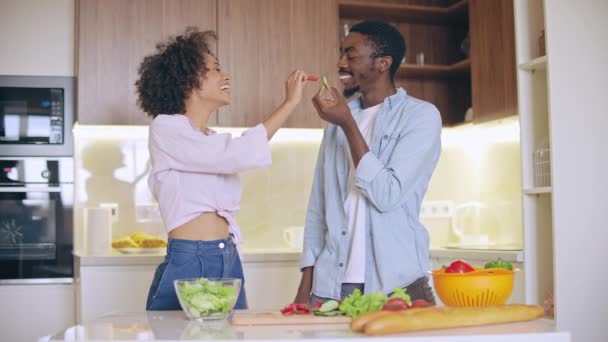 Флиртующие Пары Кормят Друг Друга Кухне Романтические Отношения Любовь — стоковое видео