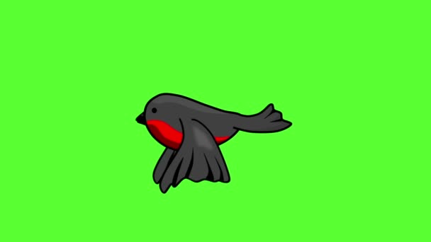 Robin bird flying cartoon animated — Stock Video