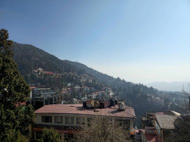 Shimla 'nın şehir manzarası katmanlı binalar, çam kaplı yamaçlar ve açık mavi gökyüzü, yoğun dağ kasabası yerleşimini ve Himalaya arazisini gösteriyor..
